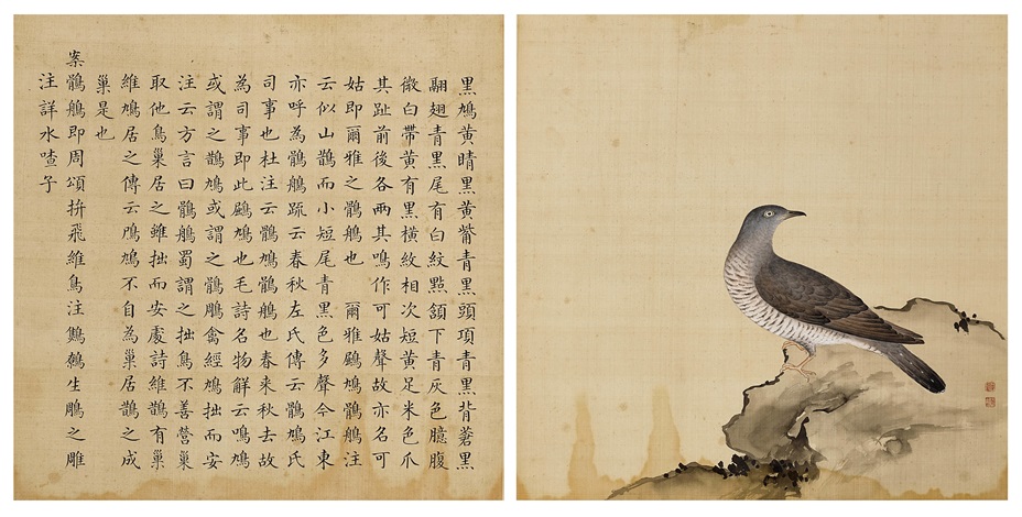 蔣廷錫《鳥譜》黑鳩by Jiang Tingxi on artnet